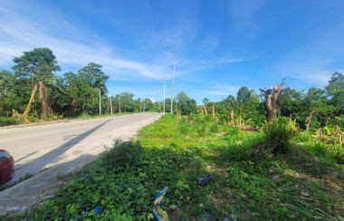 magtuod|Magtuod, Davao del Sur, Philippines Today, Tonight.